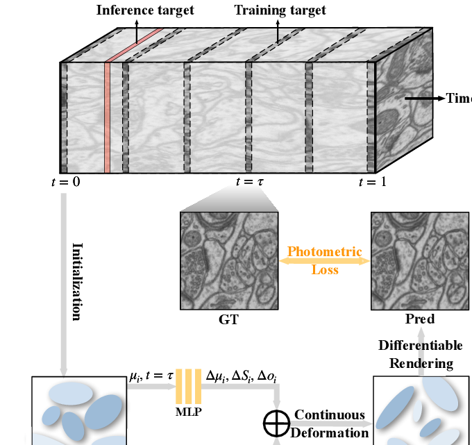 Overview of EMGauss dynamic Gaussian modeling for continuous slice-to-3D reconstruction